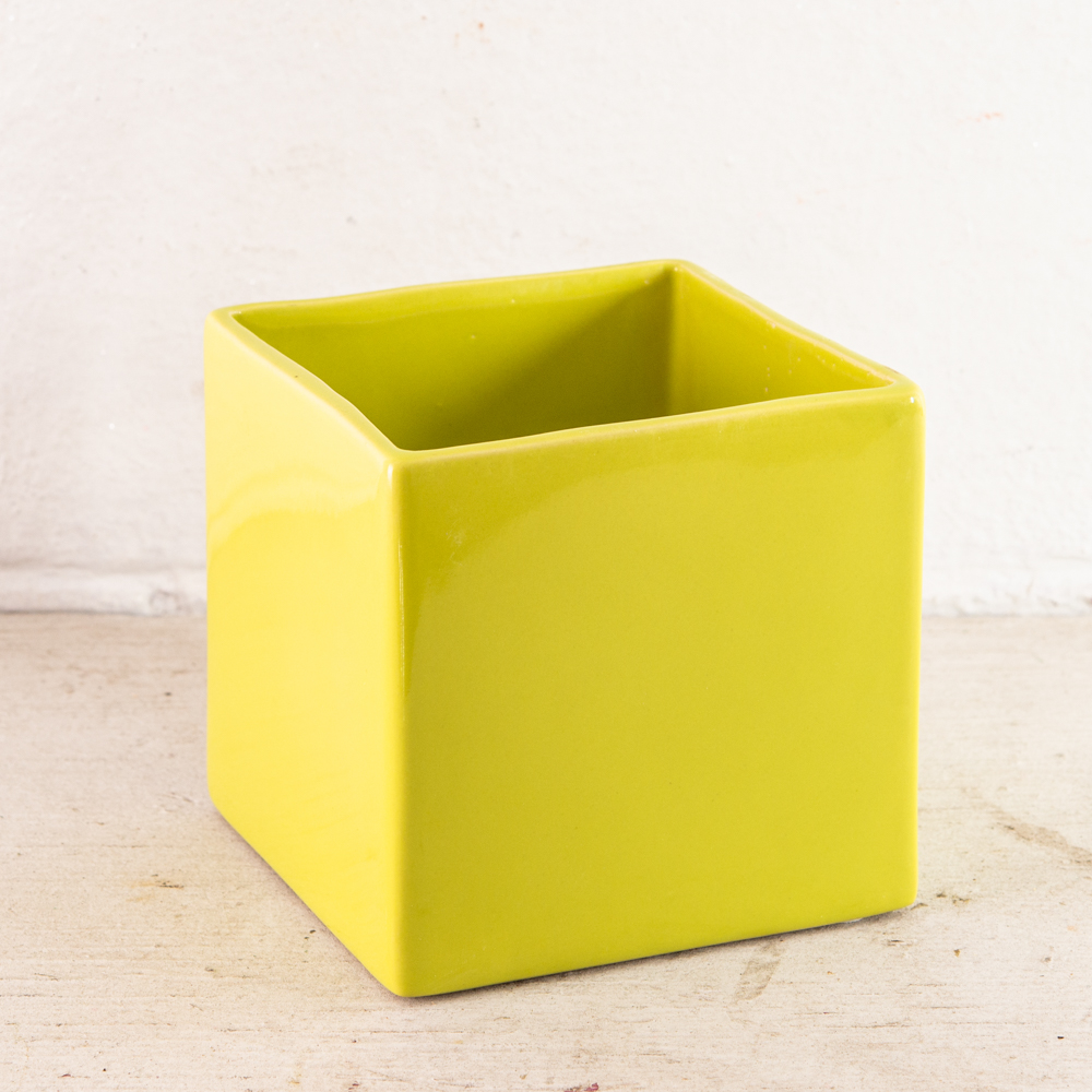 Cache pot fiori con carta piantabile - 2 pz.