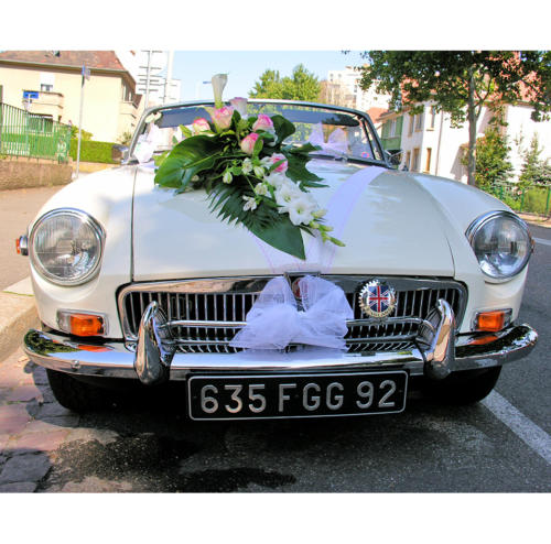 Décoration pour voiture