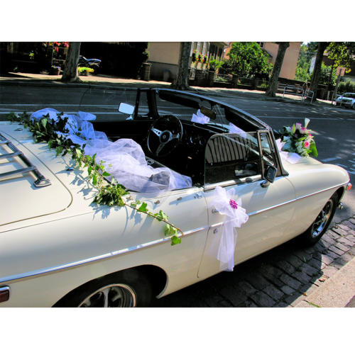 Décoration pour voiture