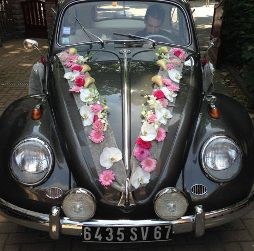 Décoration pour voiture