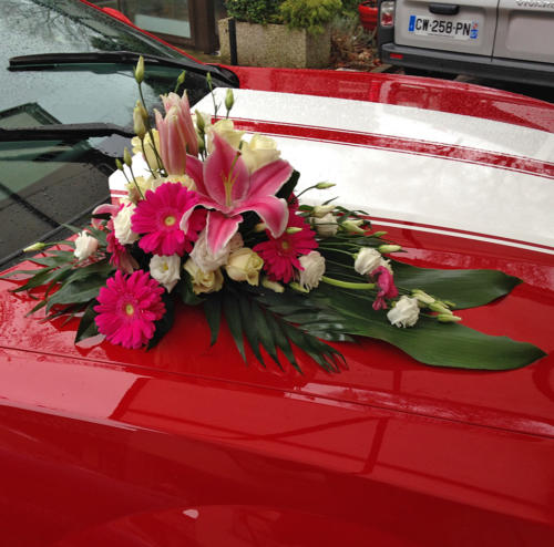 Décoration pour voiture
