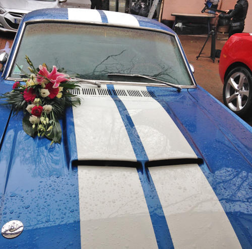 Décoration pour voiture