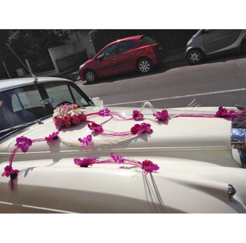 Décoration pour voiture