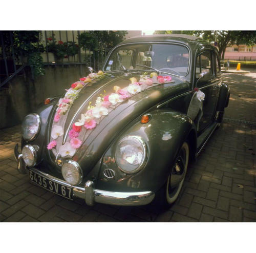 Décoration pour voiture