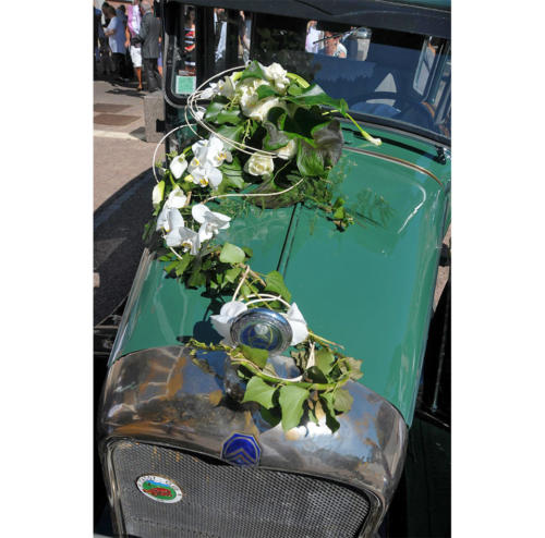 Décoration pour voiture